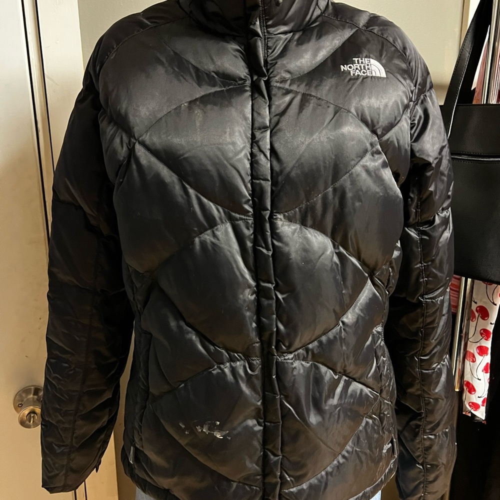 The North Face 550 Quilted Goose Down Jacket